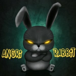 Angri Rabbit.jpg